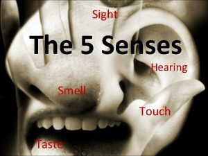 Sight The 5 Senses Hearing Smell Touch Taste