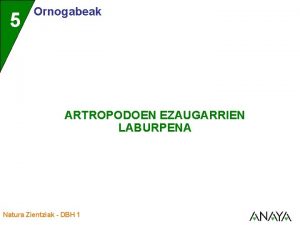 5 Ornogabeak ARTROPODOEN EZAUGARRIEN LABURPENA Natura Zientziak DBH