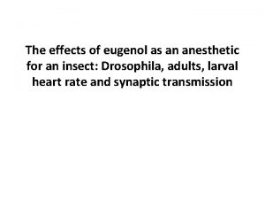 The effects of eugenol as an anesthetic for