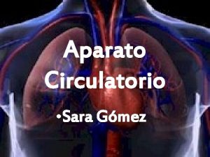 Aparato Circulatorio Sara Gmez ndice Introduccin Sangre Corazn