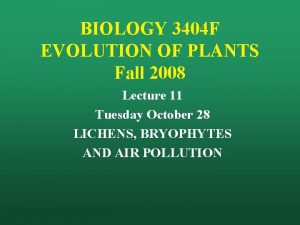 BIOLOGY 3404 F EVOLUTION OF PLANTS Fall 2008