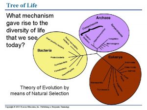 Tree of Life What mechanism gave rise to