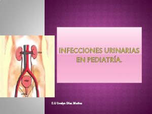 INFECCIONES URINARIAS EN PEDIATRA E U Evelyn Daz