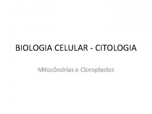 BIOLOGIA CELULAR CITOLOGIA Mitocndrias e Cloroplastos Mitocndria Estrutura