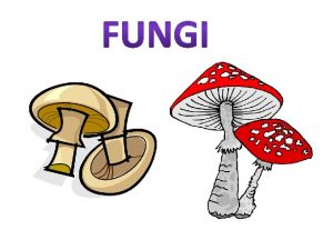 Characteristics of Fungus Eukaryotes Have cell walls Heterotrophs