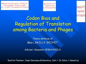 Codon Bias and Regulation of Translation among Bacteria