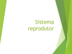 Sistema reprodutor rgos do sistema reprodutor masculino Pnis