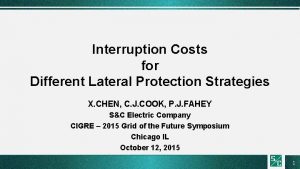 Interruption Costs for Different Lateral Protection Strategies X