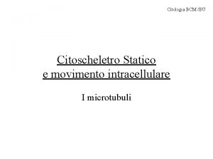 Citologia BCM BU Citoscheletro Statico e movimento intracellulare