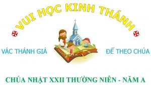 VC THNH GI THEO CHA NHT XXII THNG