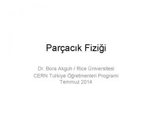 Parack Fizii Dr Bora Akgu n Rice niversitesi