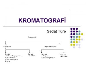 KROMATOGRAF Sedat Tre HPLC Liquid Chromatography ZET The