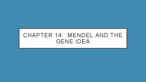 CHAPTER 14 MENDEL AND THE GENE IDEA MENDEL