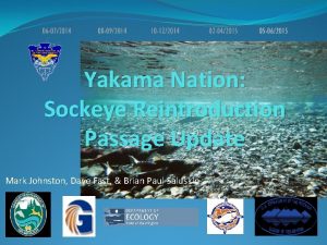 Yakama Nation Sockeye Reintroduction Passage Update Mark Johnston