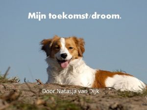 Mijn toekomstdroom Door Natasja van Dijk Inleiding Beroep