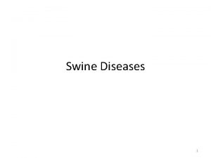 Swine Diseases 1 Sources of Information on Swine