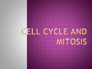 CELL CYCLE The cell cycle or celldivision cycle