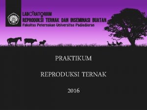 PRAKTIKUM REPRODUKSI TERNAK 2016 DOSEN DAN TEKNISI LABORATORIUM