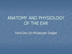 ANATOMY AND PHYSIOLOGY OF THE EAR Yard Doc