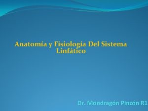 Anatoma y Fisiologa Del Sistema Linftico Dr Mondragn