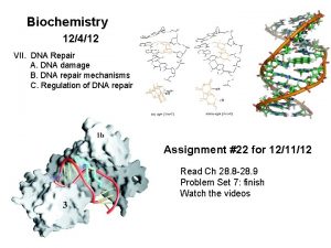 Biochemistry 12412 VII DNA Repair A DNA damage