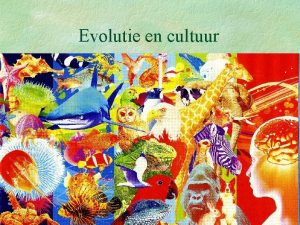 Evolutie en cultuur Van Altamira tot Lowlands Evolutie