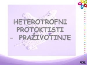 HETEROTROFNI PROTOKTISTI PRAIVOTINJE PRAIVOTINJE jednostanini heterotrofni protoktisti stanica