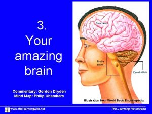 3 Your amazing brain Commentary Gordon Dryden Mind
