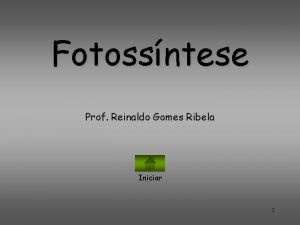 Fotossntese Prof Reinaldo Gomes Ribela Iniciar 1 Fotossntese