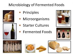 Microbiology of Fermented Foods Principles Microorganisms Starter Cultures