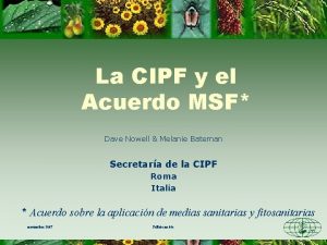 La CIPF y el Acuerdo MSF Dave Nowell