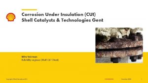 Corrosion Under Insulation CUI Shell Catalysts Technologies Gent