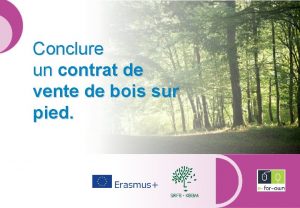 Conclure un contrat de vente de bois sur