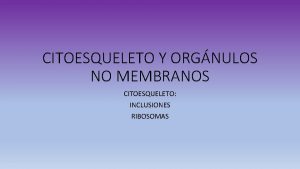 CITOESQUELETO Y ORGNULOS NO MEMBRANOS CITOESQUELETO INCLUSIONES RIBOSOMAS