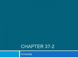 CHAPTER 37 2 Annelida Phylum Annelida Annelid means