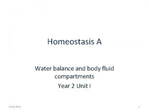 Homeostasis A Water balance and body fluid compartments