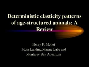 Deterministic elasticity patterns of agestructured animals A Review