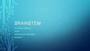 BRAINSTEM NATASHA HAMEED PGY 3 NEUROLOGY RESIDENT 8152017