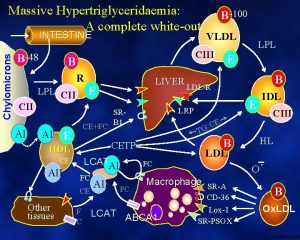 Massive Hypertriglyceridaemia A complete whiteout Chylomicrons INTESTINE B
