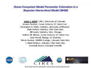 Ocean Ecosystem Model Parameter Estimation in a Bayesian