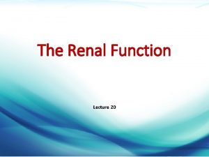 The Renal Function Lecture 20 Dr Mazen Alzaharna
