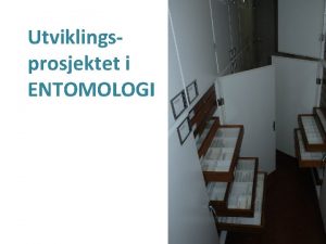 Utviklingsprosjektet i ENTOMOLOGI Faggruppen i entomologi Fra museene