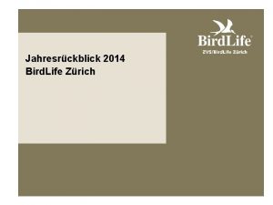 Jahresrckblick 2014 Bird Life Zrich 100 x Zri