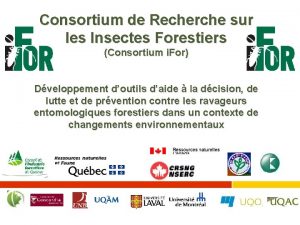 Consortium de Recherche sur les Insectes Forestiers Consortium