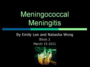 Meningococcal Meningitis By Emily Lee and Natasha Wong