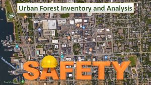 Urban Forest Inventory and Analysis Safety Tips Get