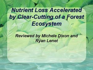Nutrient Loss Accelerated by ClearCutting of a Forest