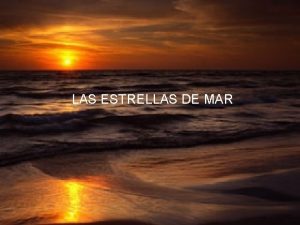 LAS ESTRELLAS DE MAR Cierto da caminando por