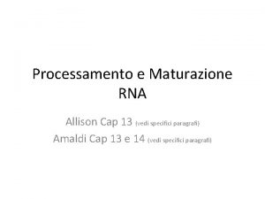 Processamento e Maturazione RNA Allison Cap 13 vedi