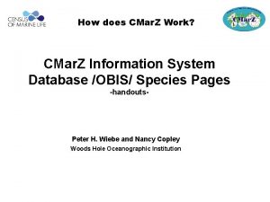 How does CMar Z Work CMar Z Information